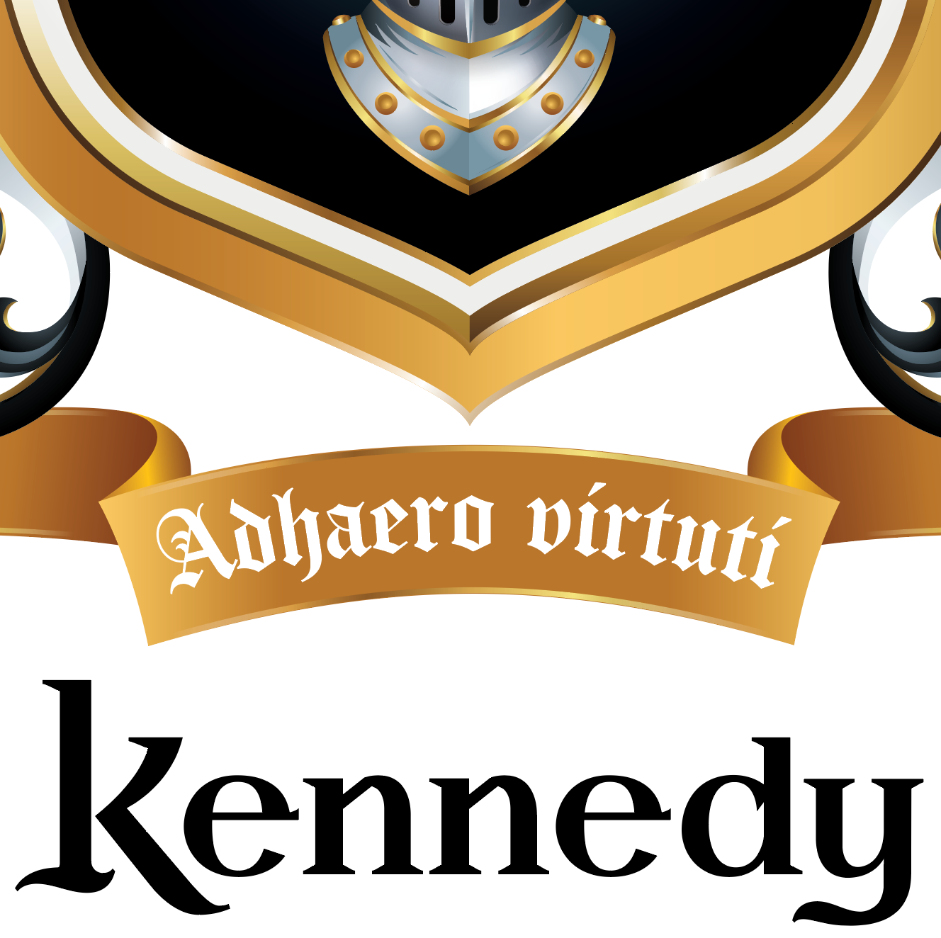 Kennedy Family Crest Rocks Glass