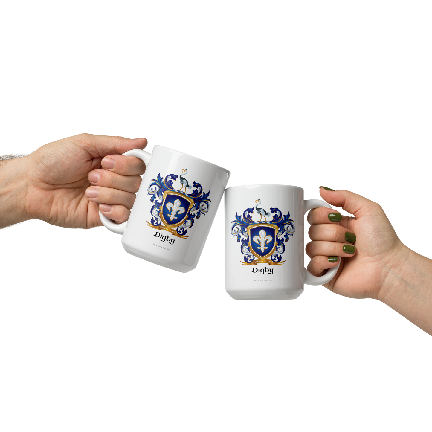 Digby Family Crest mug