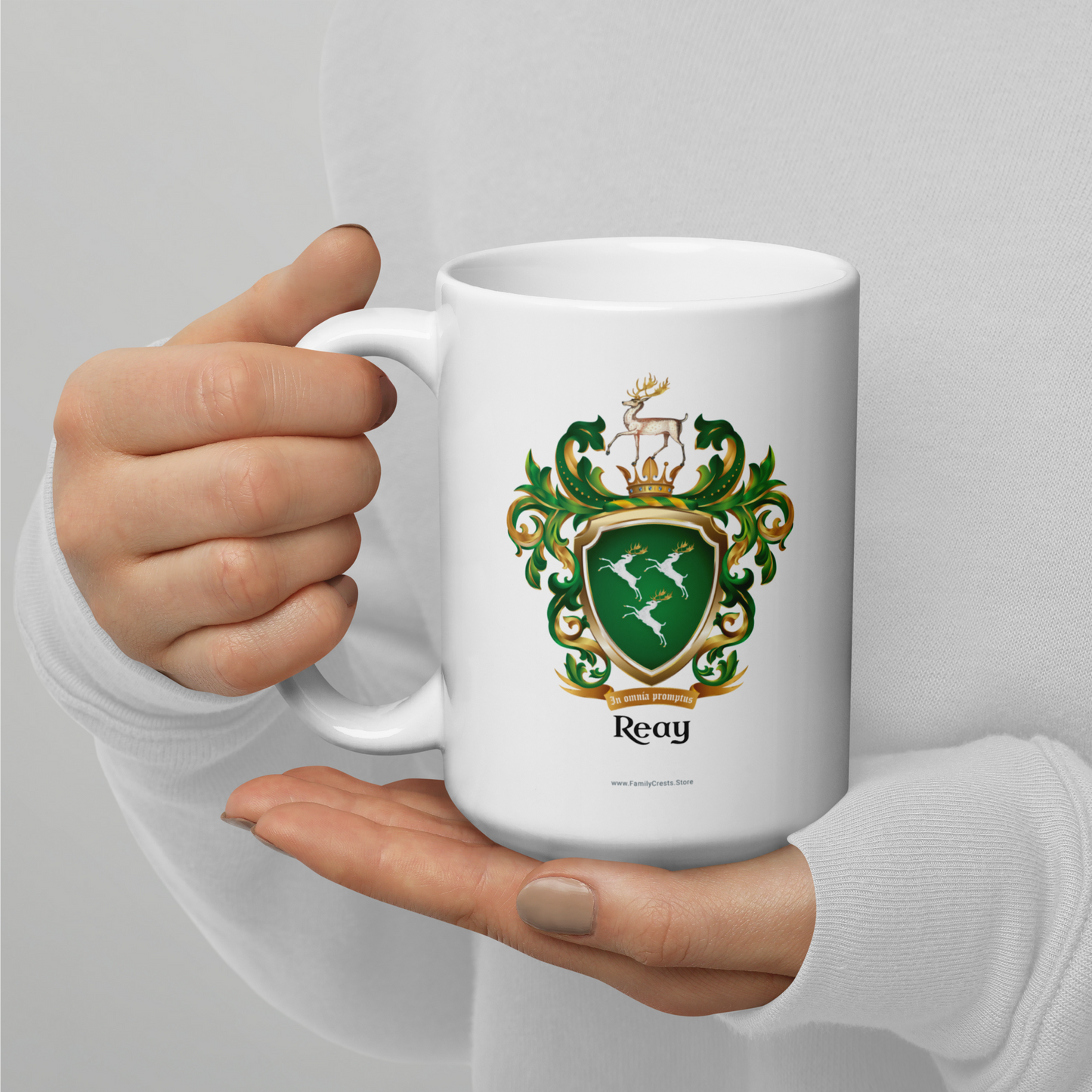 Reay Family Crest mug