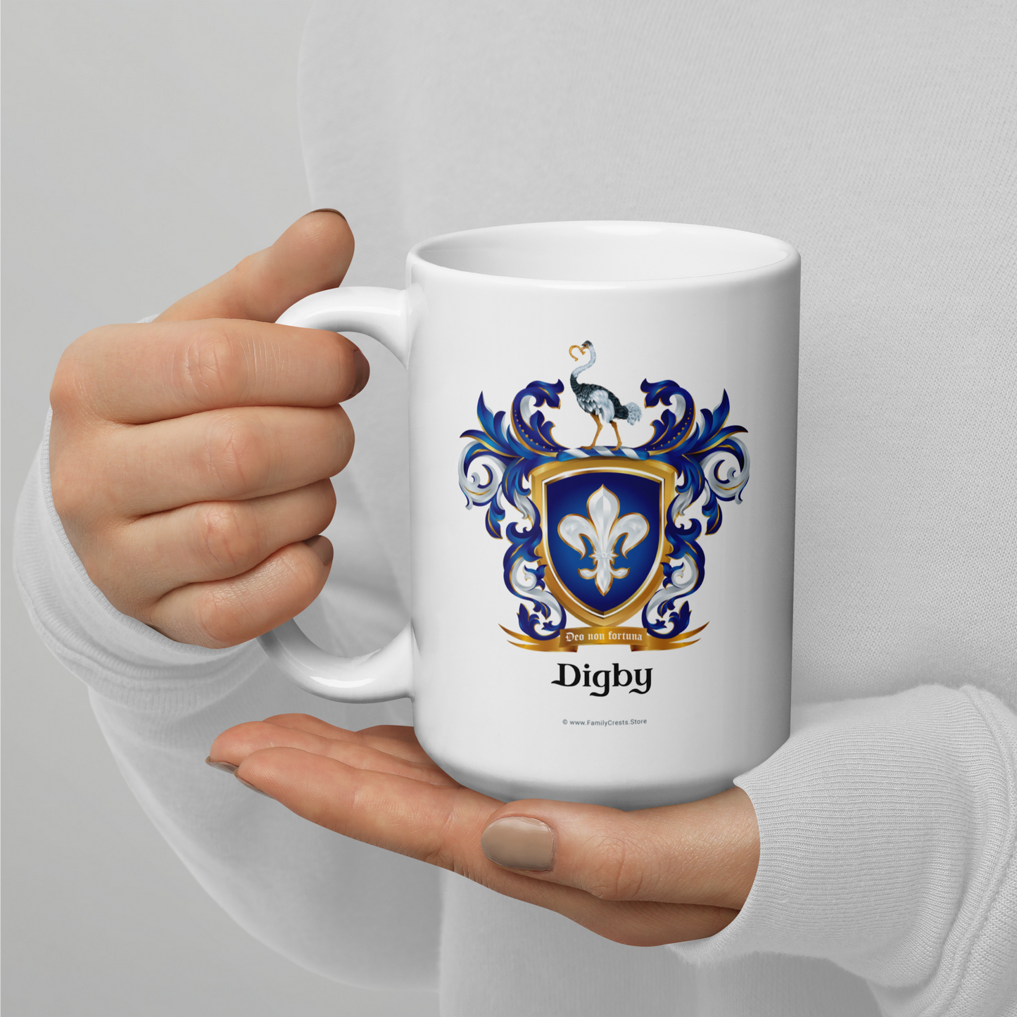 Digby Family Crest mug