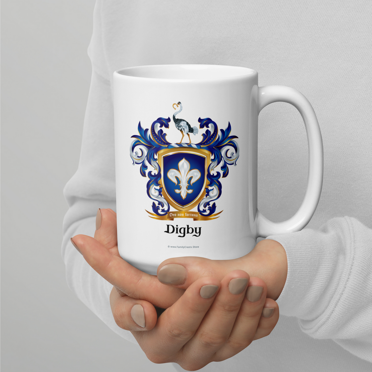Digby Family Crest mug