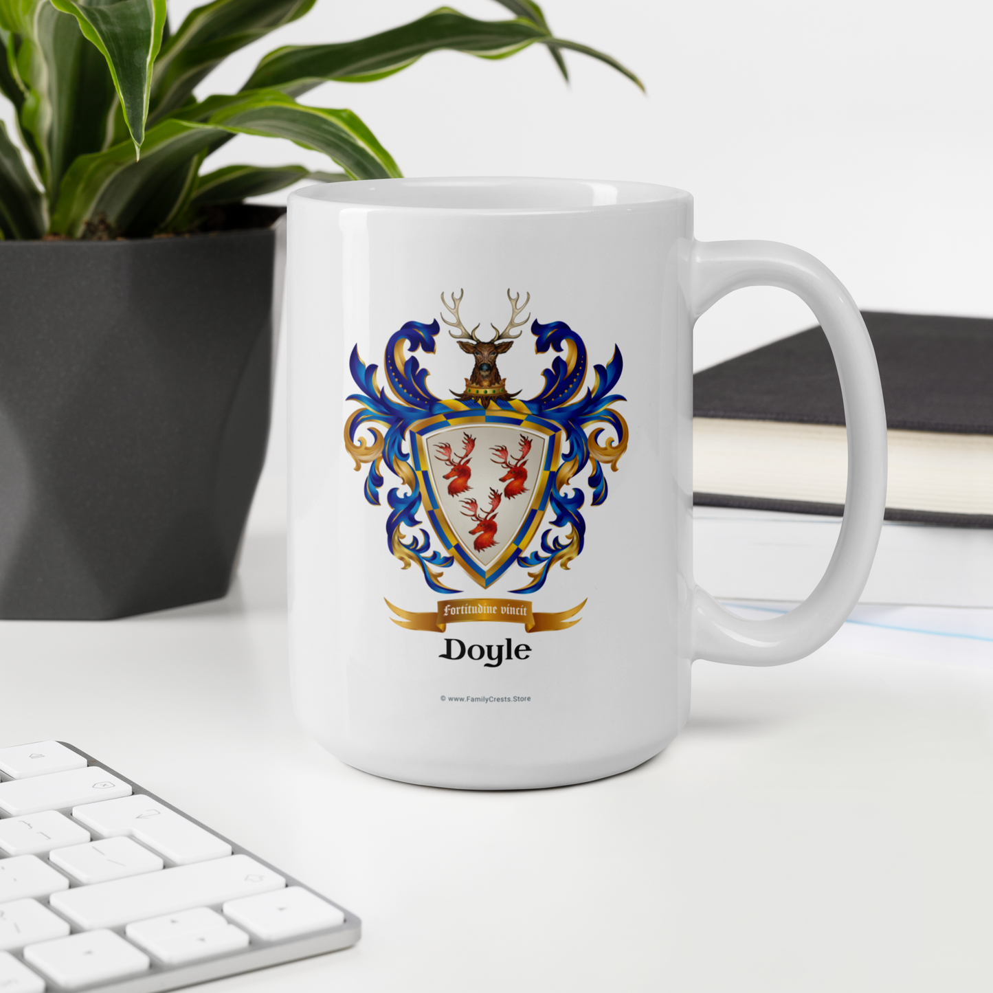 Doyle Family Crest mug