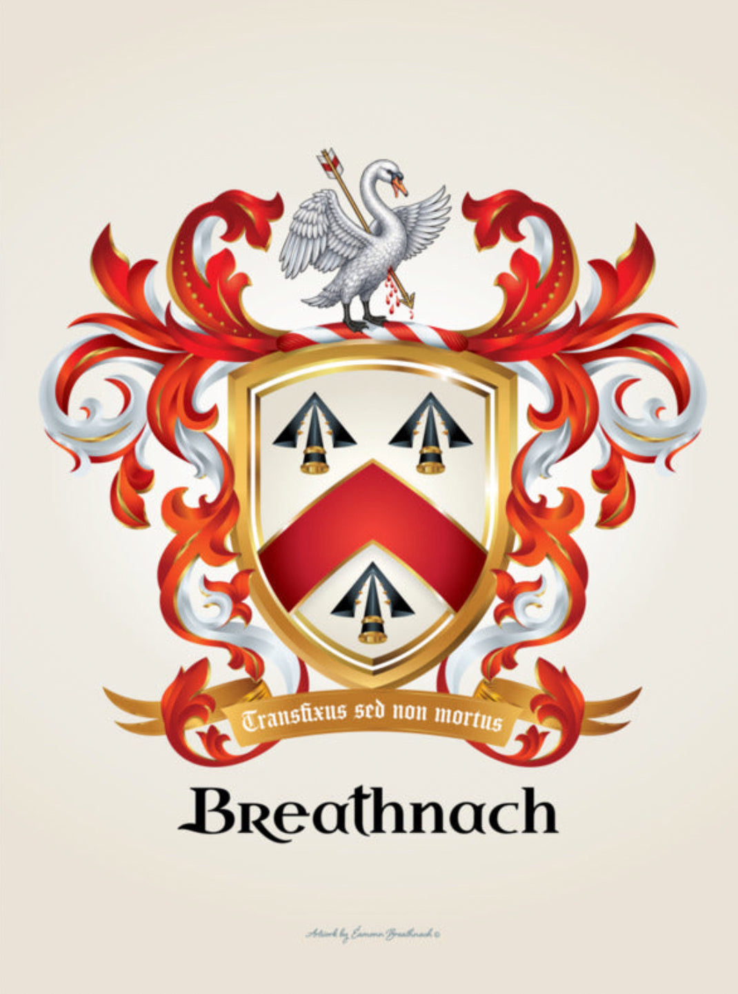 Family Crest in Irish - Suaitheantais Teaghlaigh i nGaeilge - on enhanced art quality matte paper posters