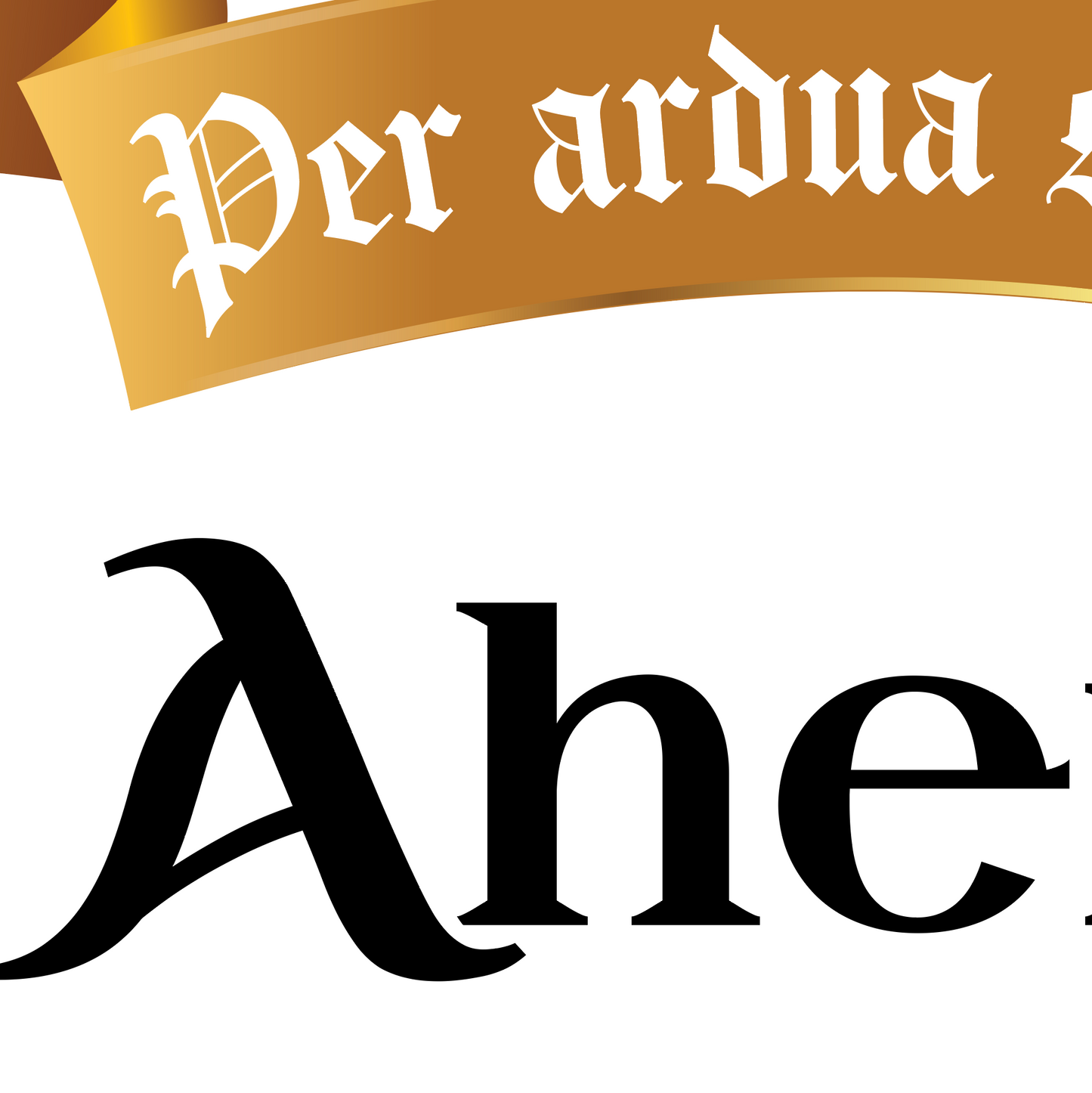 A closeup of the Ahern coat of arms showing typographic style emements of letters A, h and e