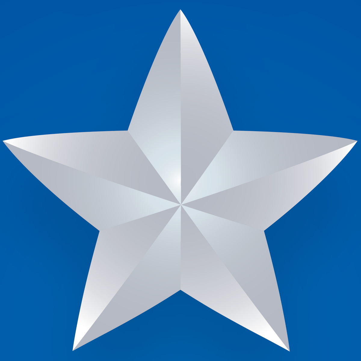 A close-up of a white star on the Bailey Family Coat of Arms.
