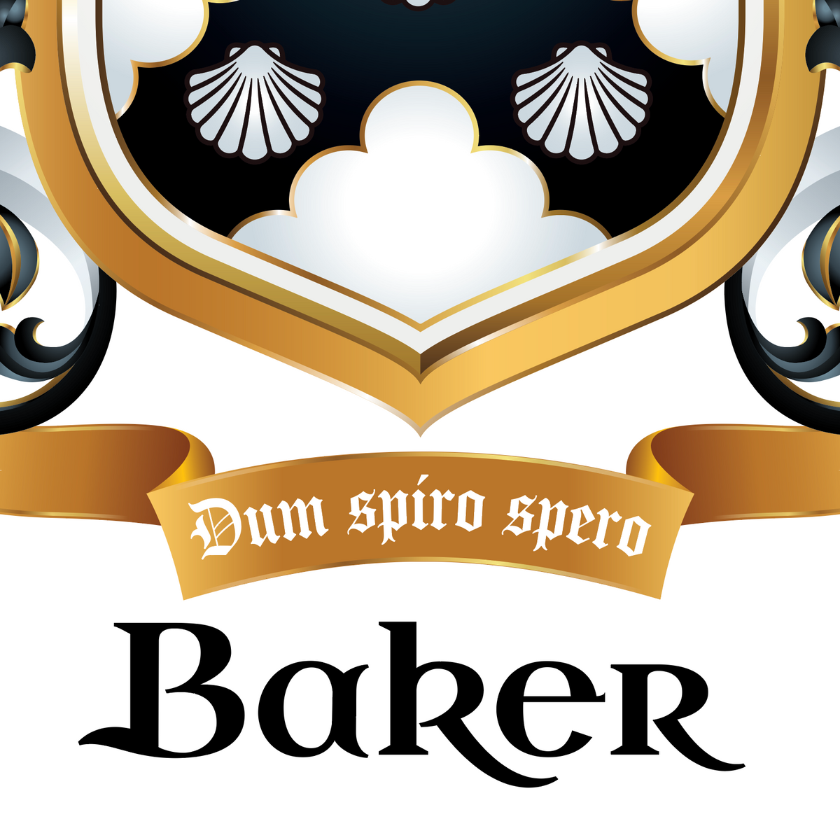 Baker Family Crest Rocks Glass