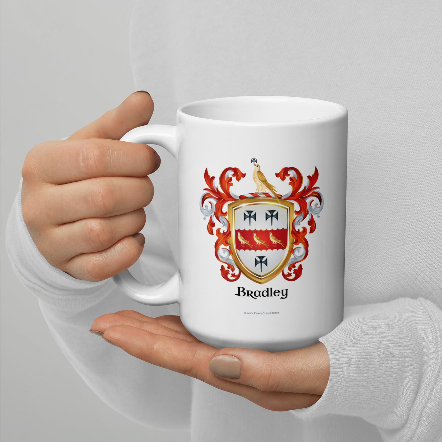 Bradley Family Crest mug