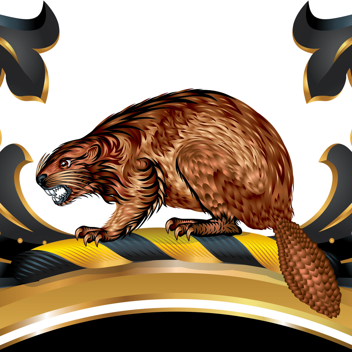 A close-up of the Brooks Coat of Arms featuring a beaver on the crest above the shield.