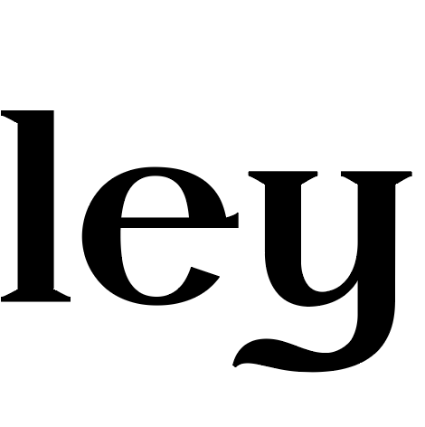Close up of Bradley Family Crest typographic style of the letters 'ley' from the name Bradley 