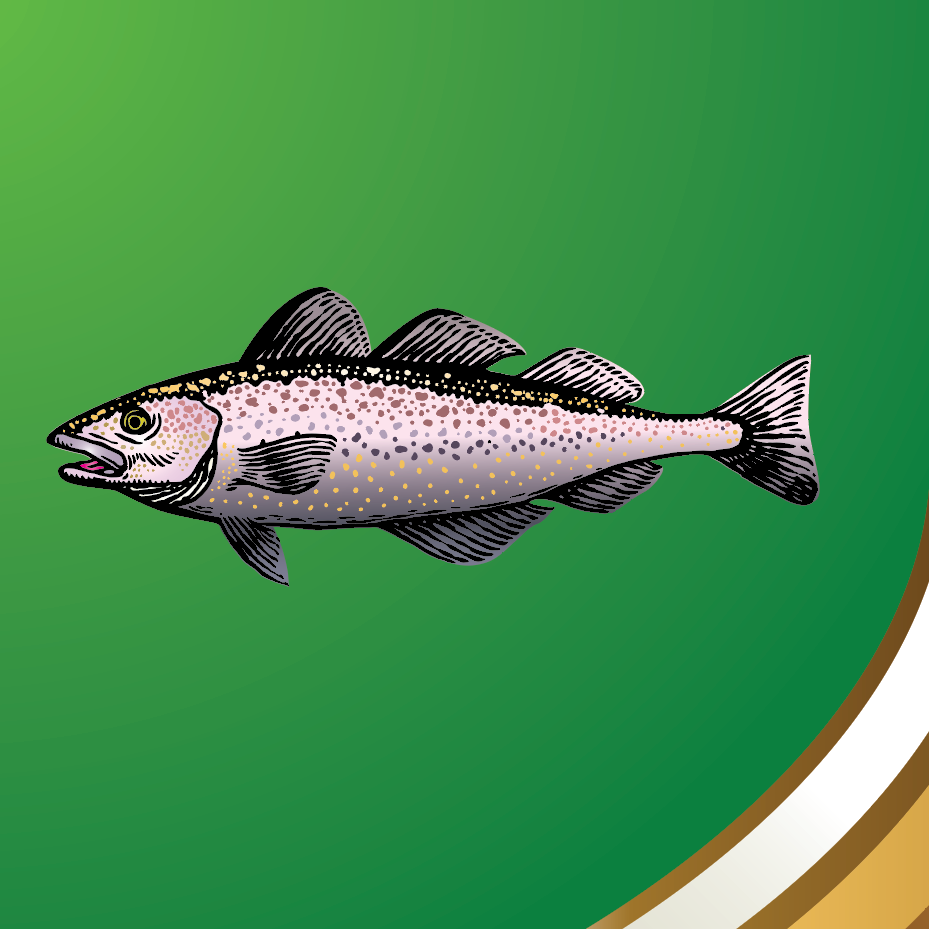 Close up of fish on coat of arms