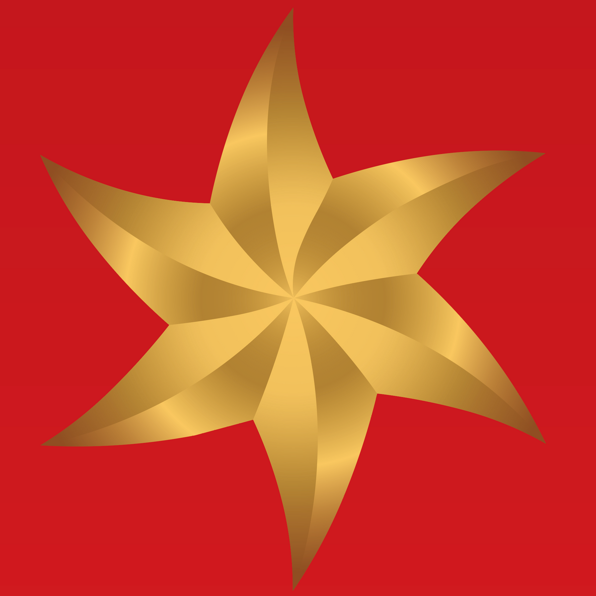A closeup pf the bottom of the Cruz Family Crest featuring six-pointed gold star on a solid red background.