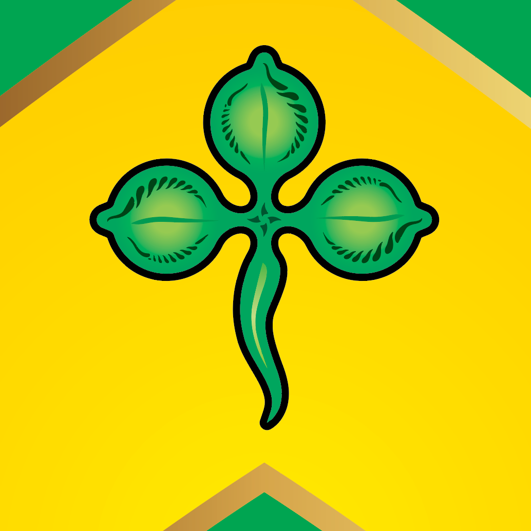Detailed close up of Robinson Family Crest green shamrock trefoil symbol on a yellow background