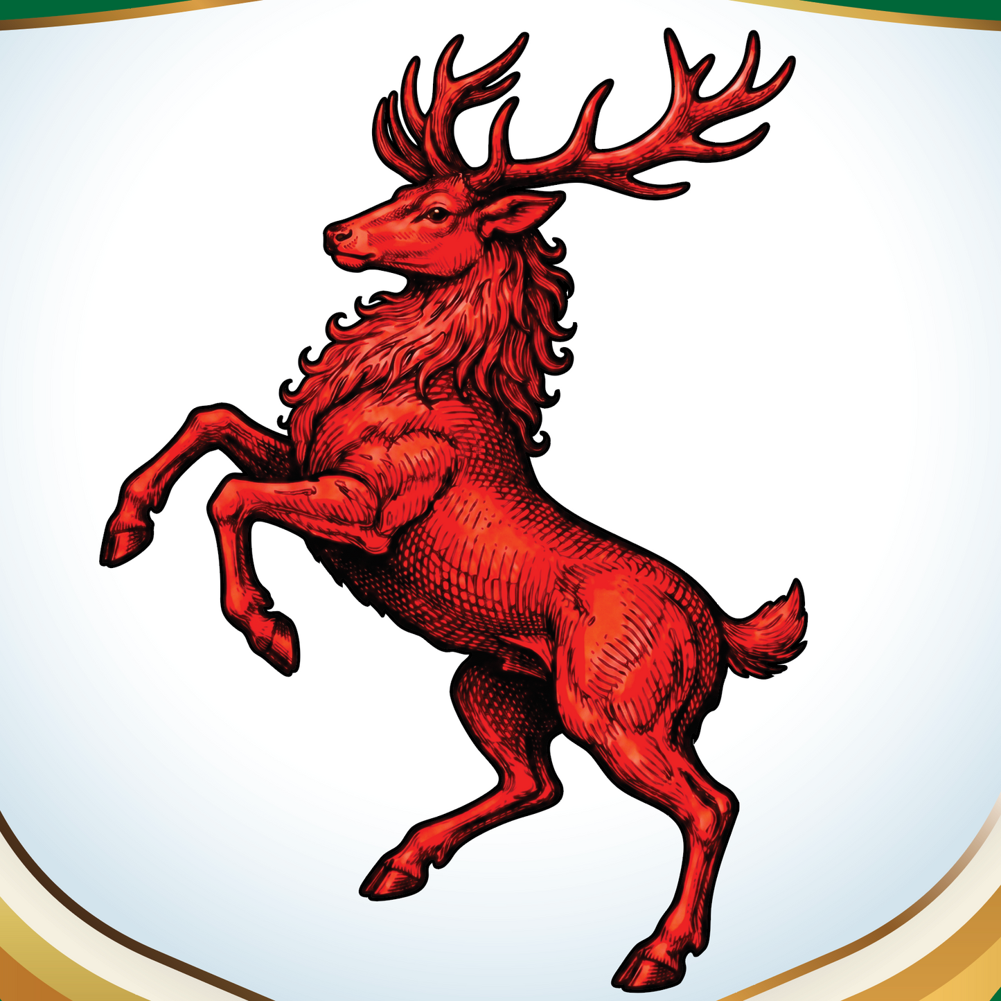 O Dochartaigh - Doherty Family Crest Enhanced matte paper poster
