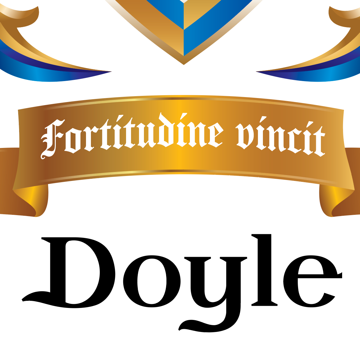Doyle Family Crest mug
