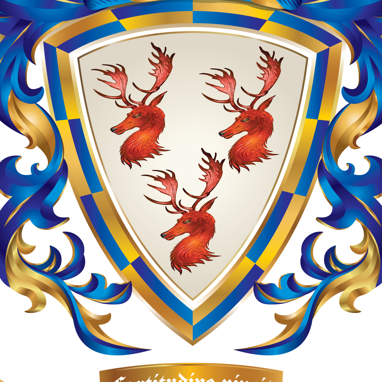 Ó Dubhghaill - Doyle Family Crest Enhanced matte paper poster