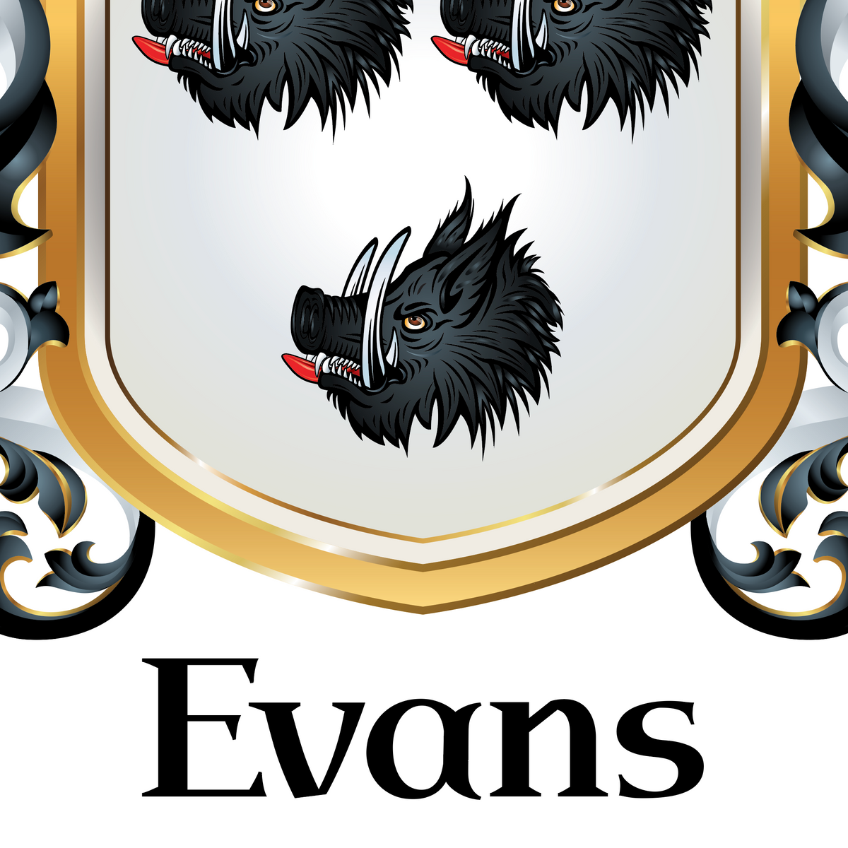 A closeup of the Evans Family-Crest-irish-origin heraldic shield design with three black boar heads on a white field, outlined in gold, with ornate black-and-white scrollwork at the edges and the word 'Evans' in large black serif text below.