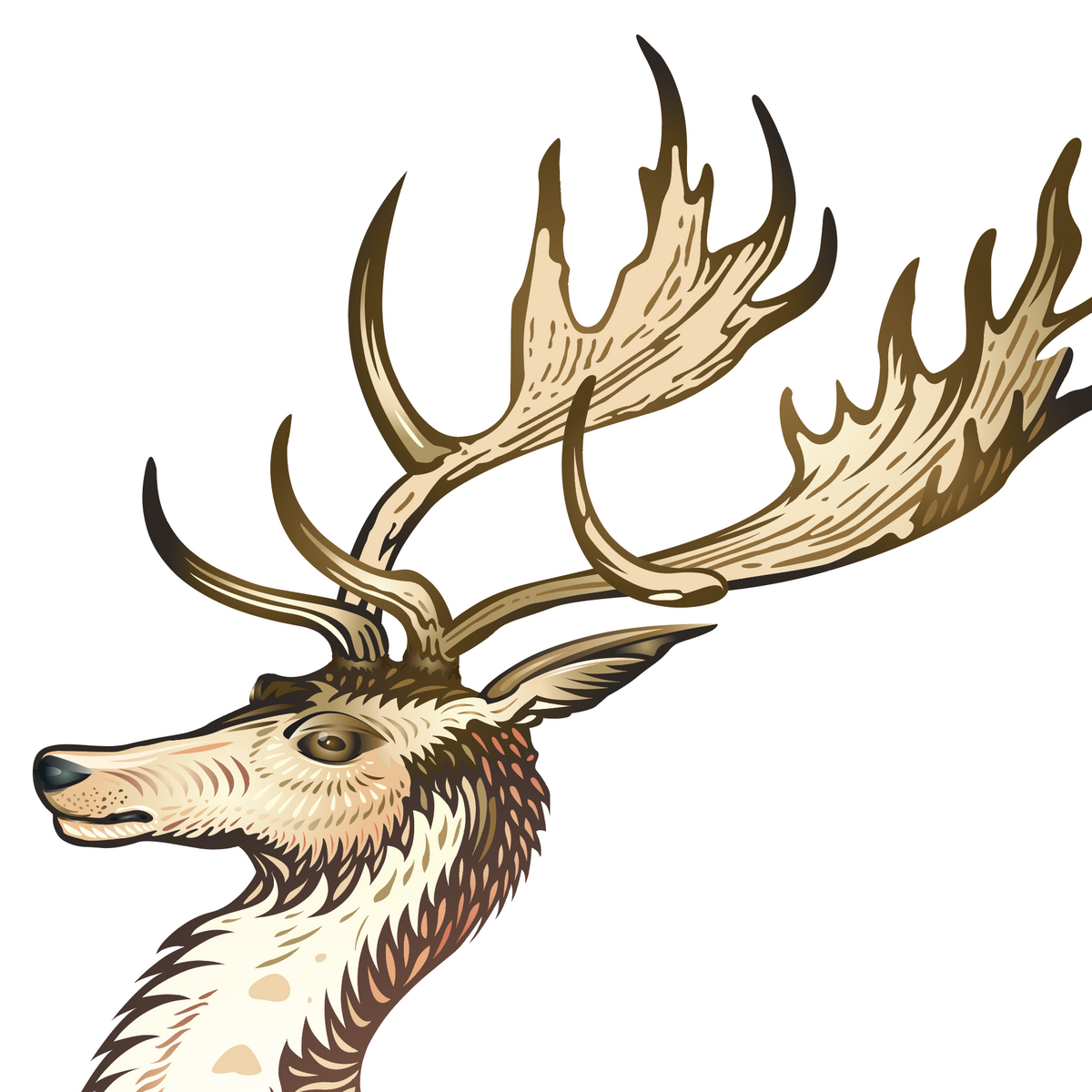 A stylized illustration of a deer head with large antlers, shown in profile on a plain white background.