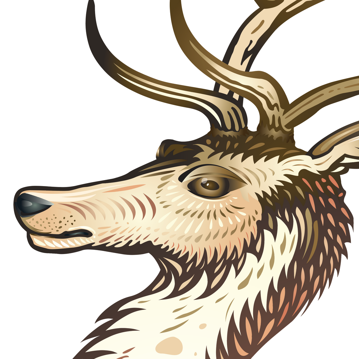 Heraldic style illustration of a stag deer head with large antlers, shown in profile against a solid white background.