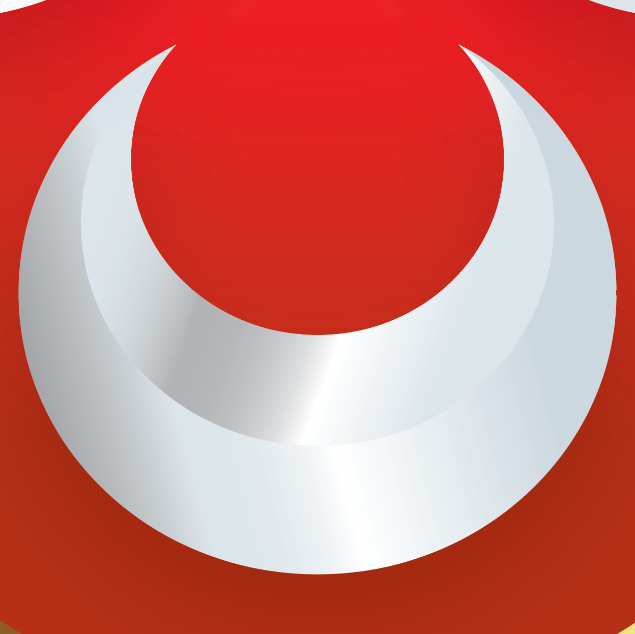 A close-up of a silver crescent motif on a red background of part of the shield.