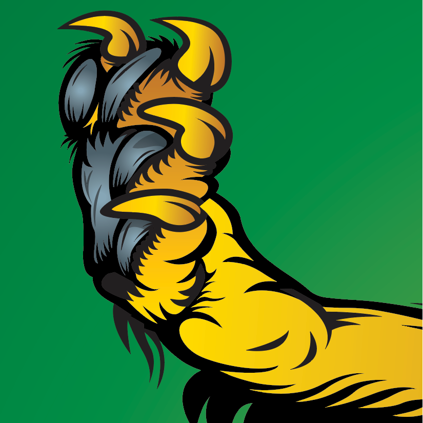 A close up from the coat of arms showing a heraldic style gold lion paw with black outline, set against a solid green background.