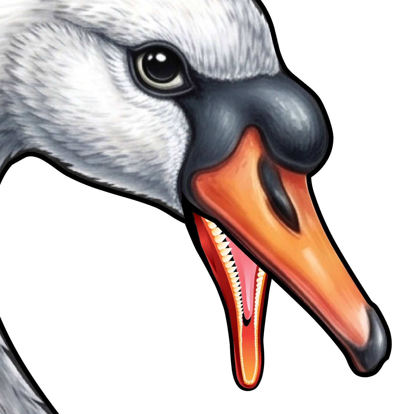 A closeup of the swans head on the family crest