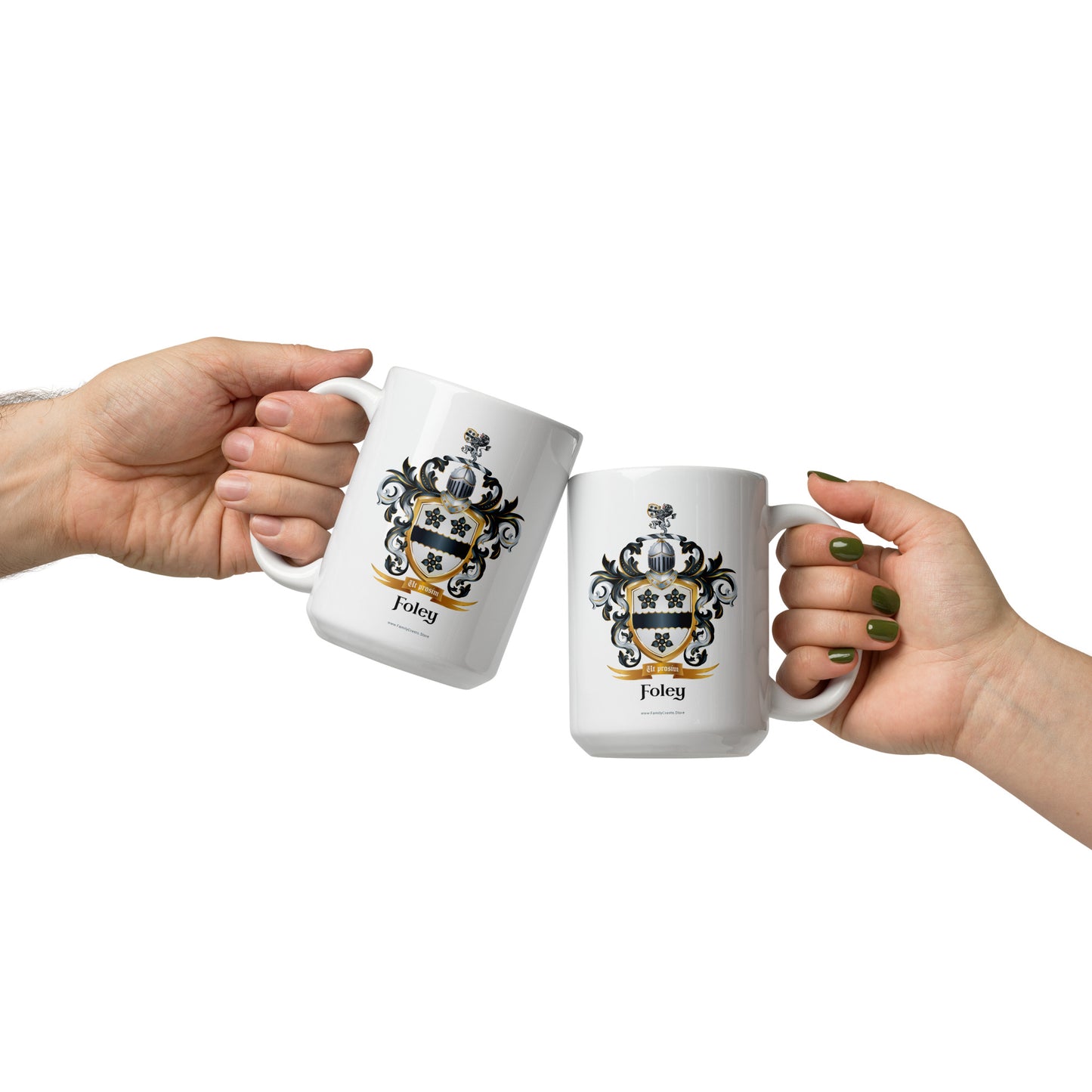 Foley Family Crest mug