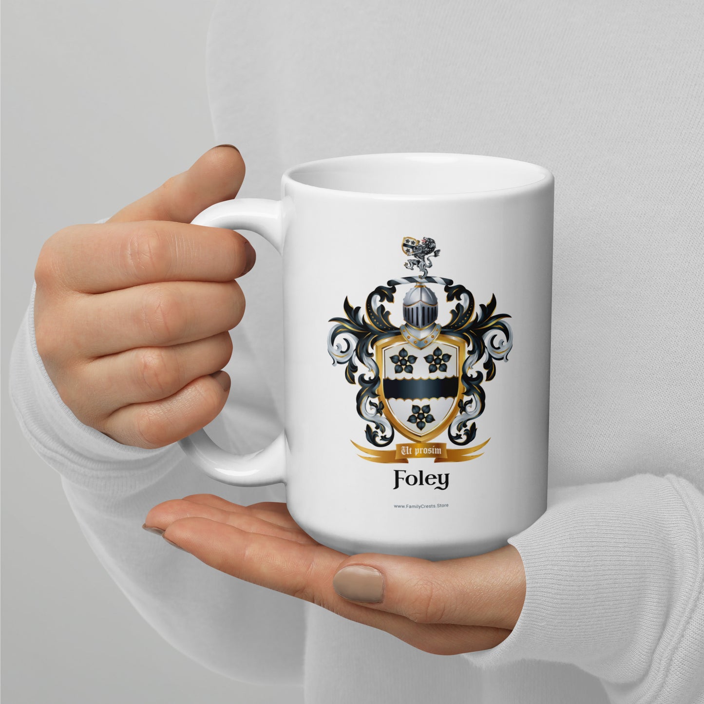 Foley Family Crest mug