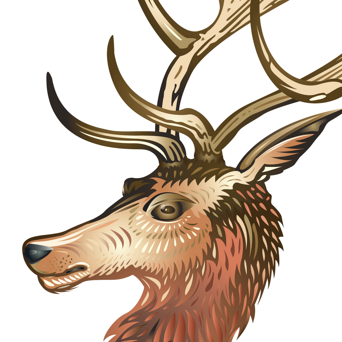 A closeup of the Green Family Crest with a deer head with large antlers, shown in profile against a plain white background.