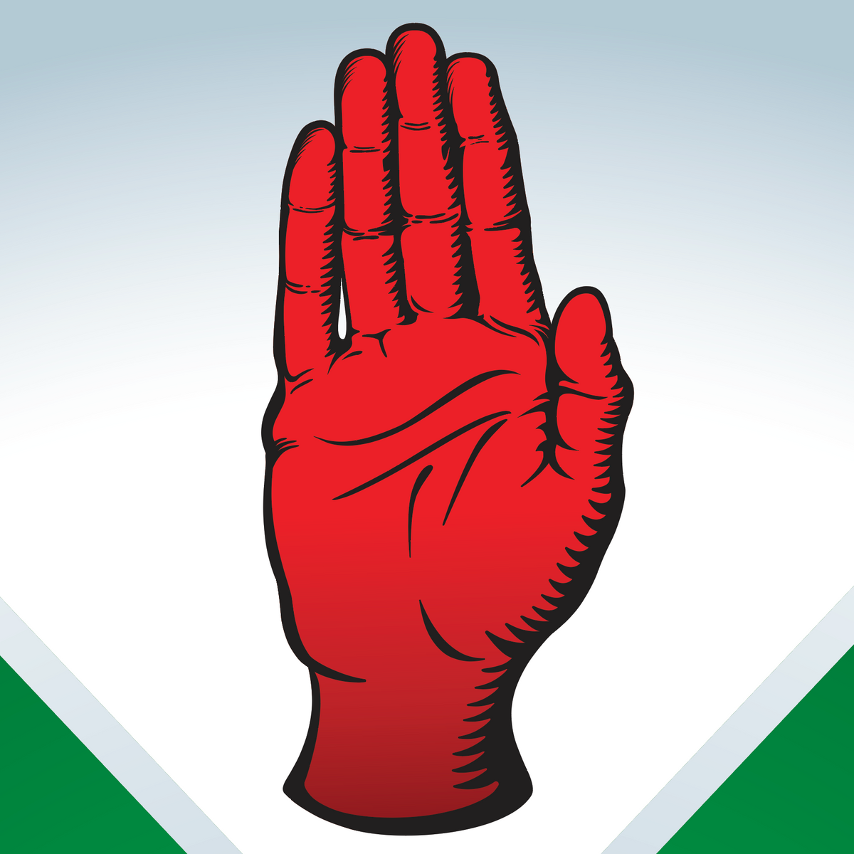 A close-up of part of the the Irish Hughes Family Coat of Arms featuring red hand on a white background.