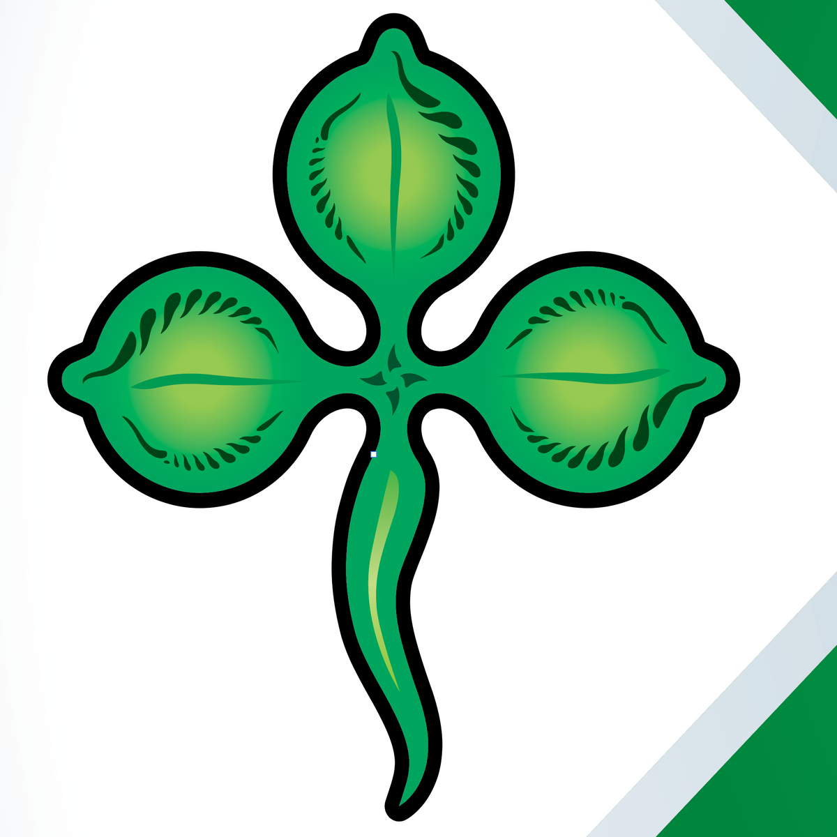 A close-up of part of the the Irish Hughes Family Coat of Arms featuring a green shamrock on a white background.