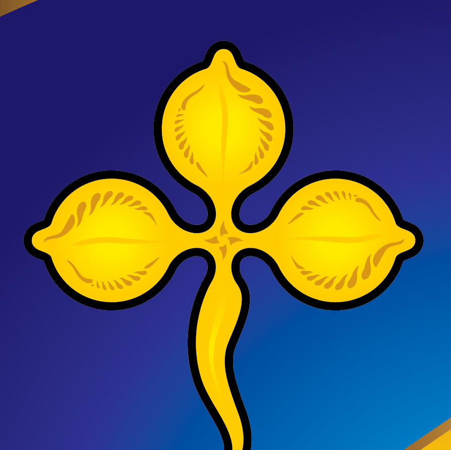 Ó Loinsigh - Lynch Family Crest enhanced matte paper poster