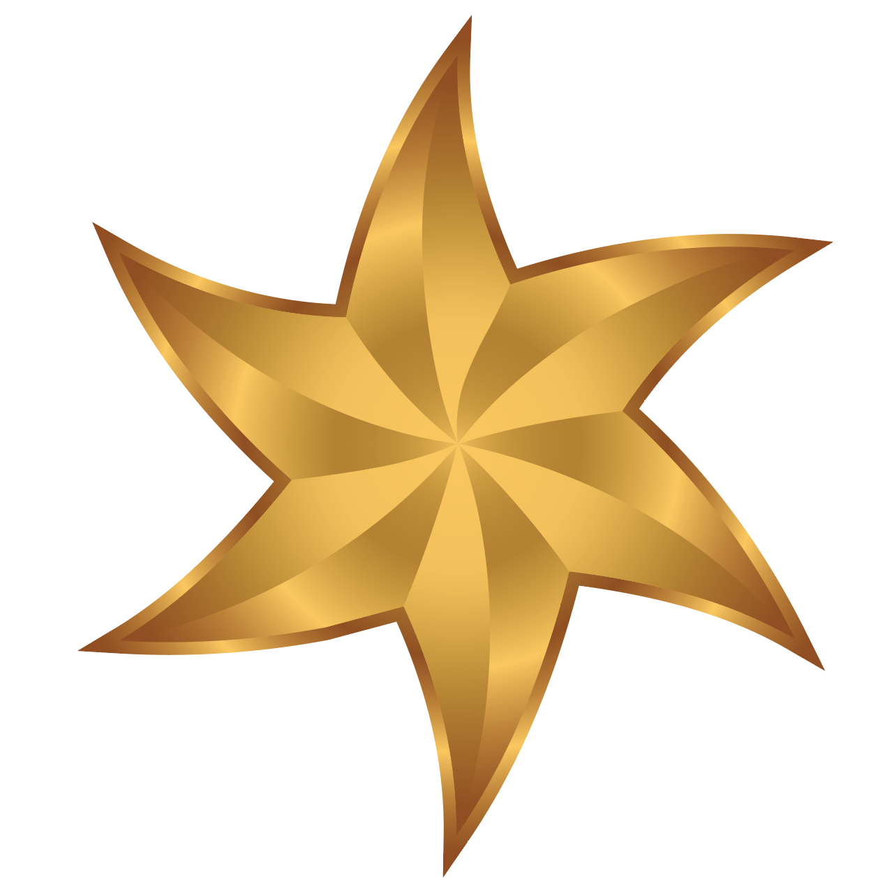 A detailed closeup of a section of the Martin Family Crest showing a golden six-pointed star isolated on a solid white background. 