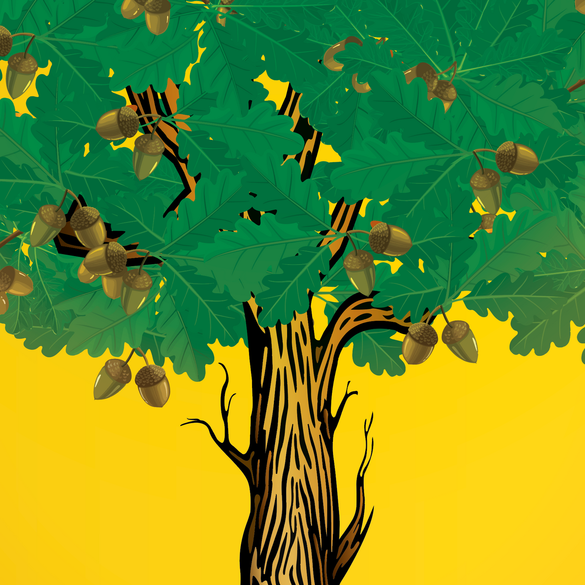A closeup of the Martinez Family Crest of Galicia & Asturias featuring acorns on an oak tree.