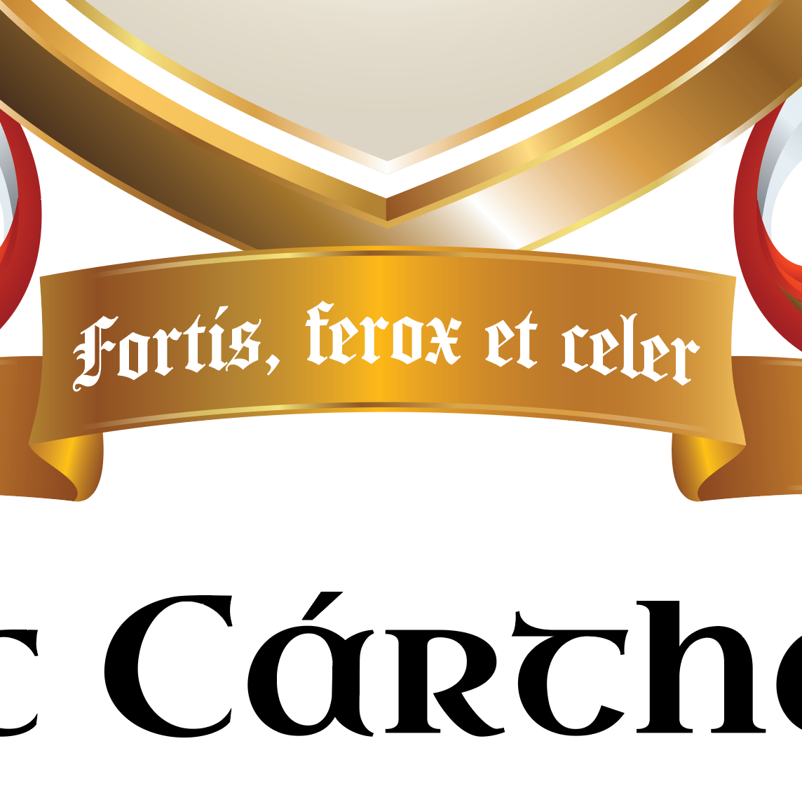 Mac Carthaigh - McCarthy Family Crest Enhanced matte paper poster