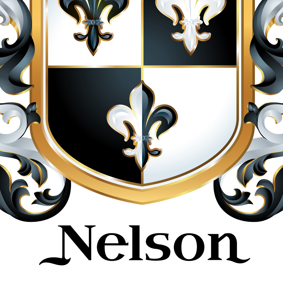 A closeup of the Nelson coat of arms with a black-and-white quartered shield, gold border, ornate black-and-white scrollwork, and the name 'Nelson' in black script below on a white background.