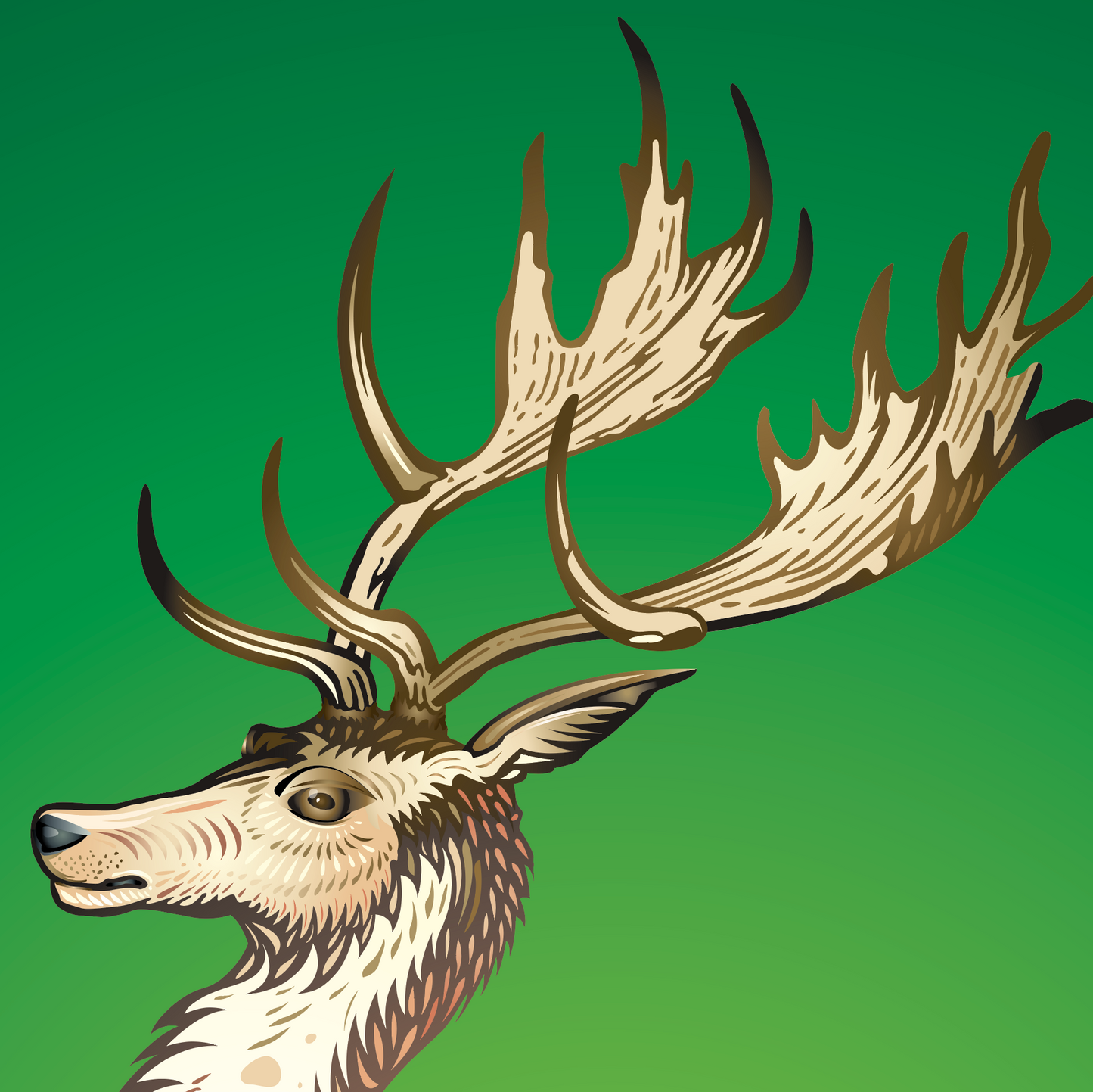 A closeup of the O’Connor family crest featuring a stag's head with large antlers in white, brown, and cream tones against a solid green background.