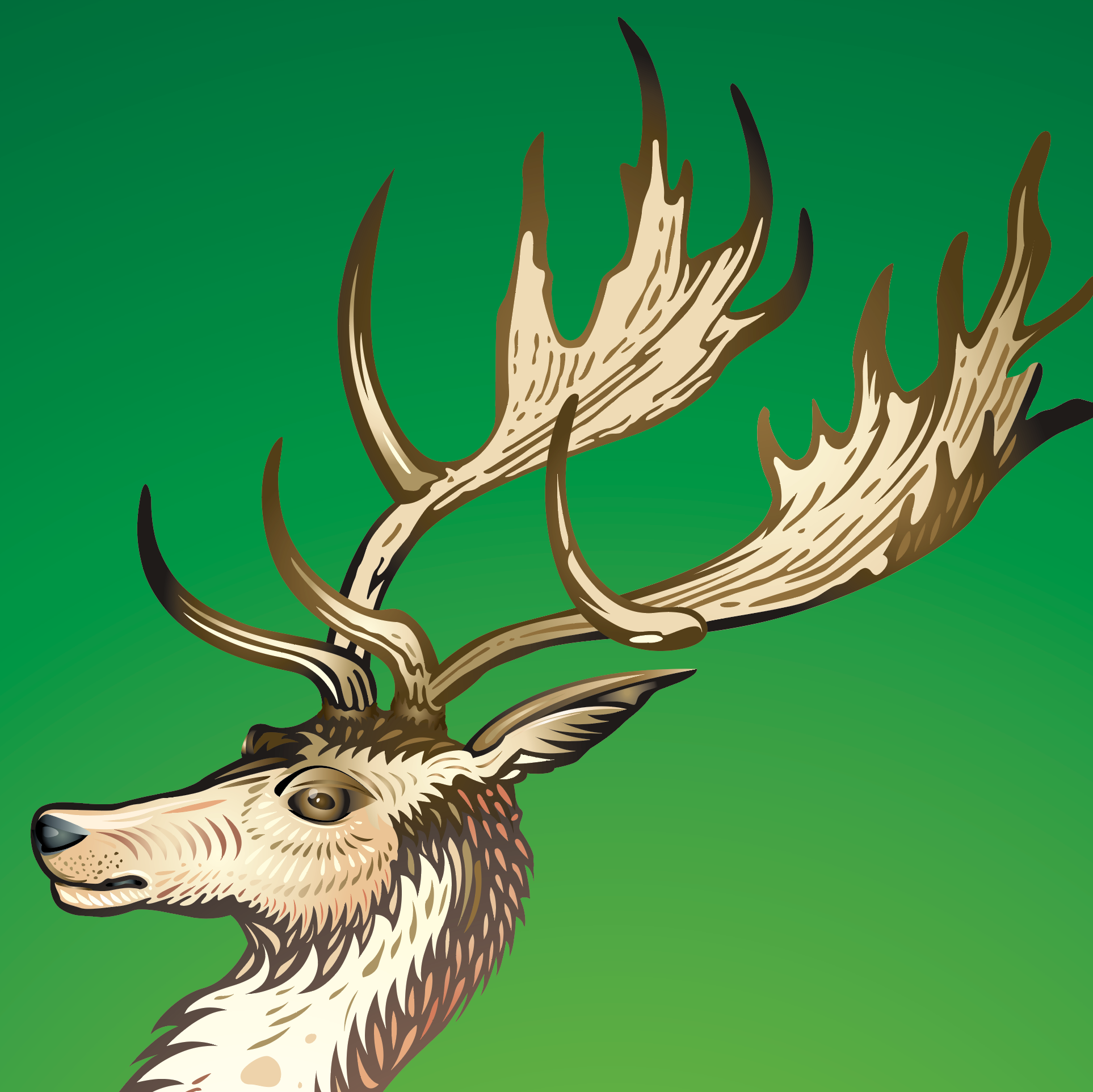 A closeup of the O’Connor family crest featuring a stag's head with large antlers in white, brown, and cream tones against a solid green background.