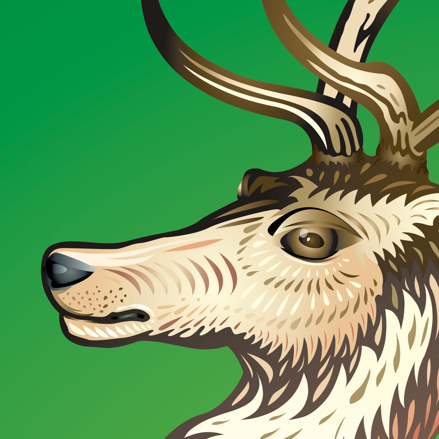 A closeup of the O’Connor family crest featuring a stag deer head with antlers in profile, rendered in cream, brown, and black on a solid green background.