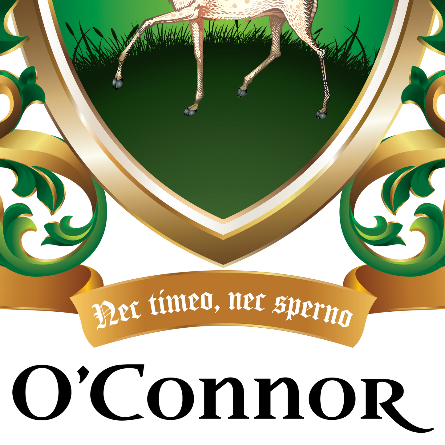 A closeup of the O’Connor family crest featuring a motto banner reading 'Per timeo, nec sperno', and the word 'O'Connor' in large black script below on a white background.