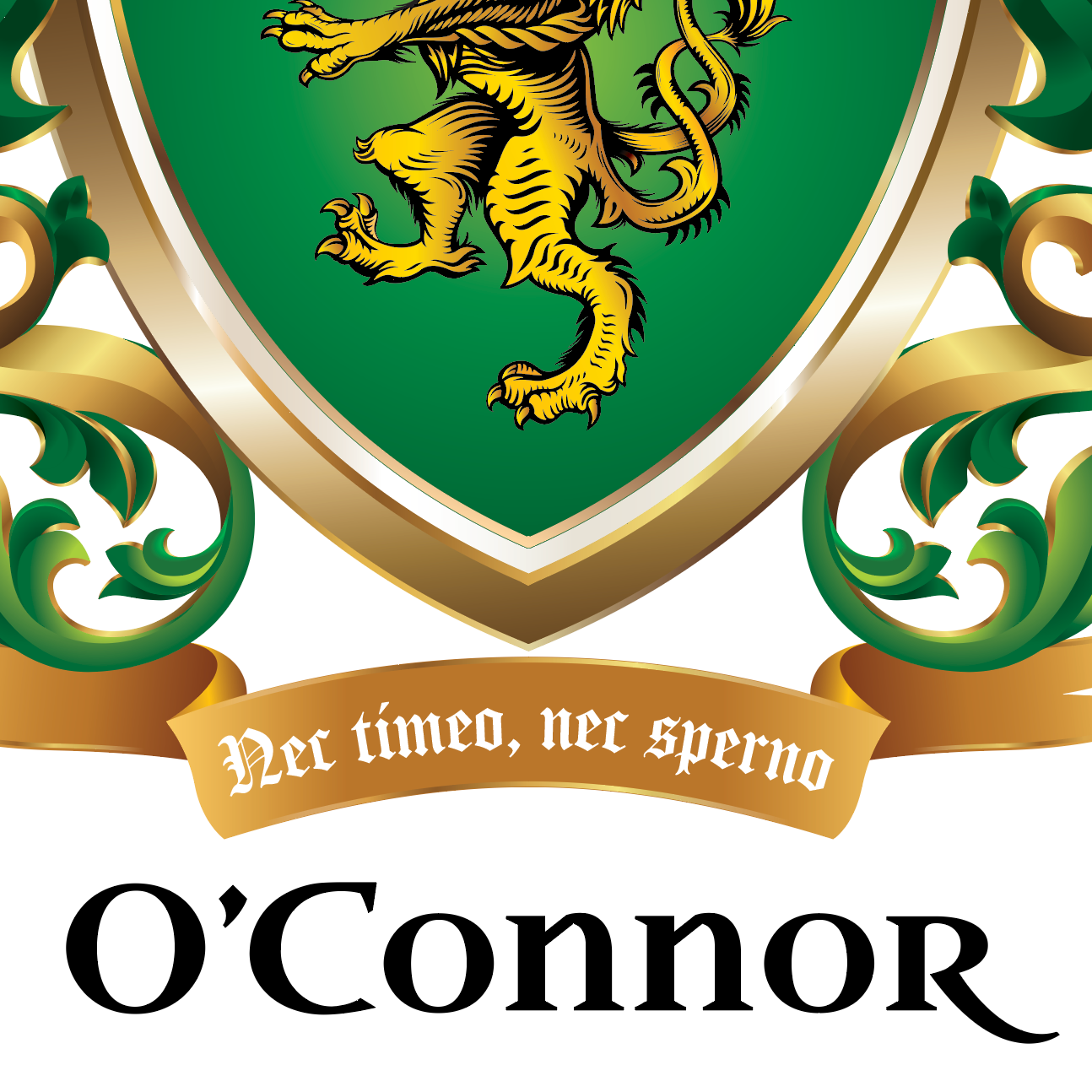 A close up from the O’Connor Family Crest showing a golden lion, a motto ribbon and black text  saying 'O'Connor' below on a white background.