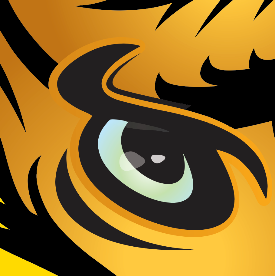 Close up of lion eye Family Crest Store