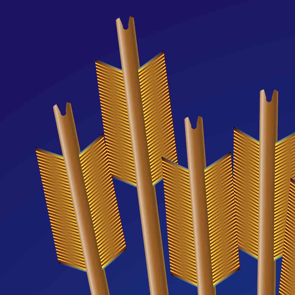 Maloney Family Crest mug
