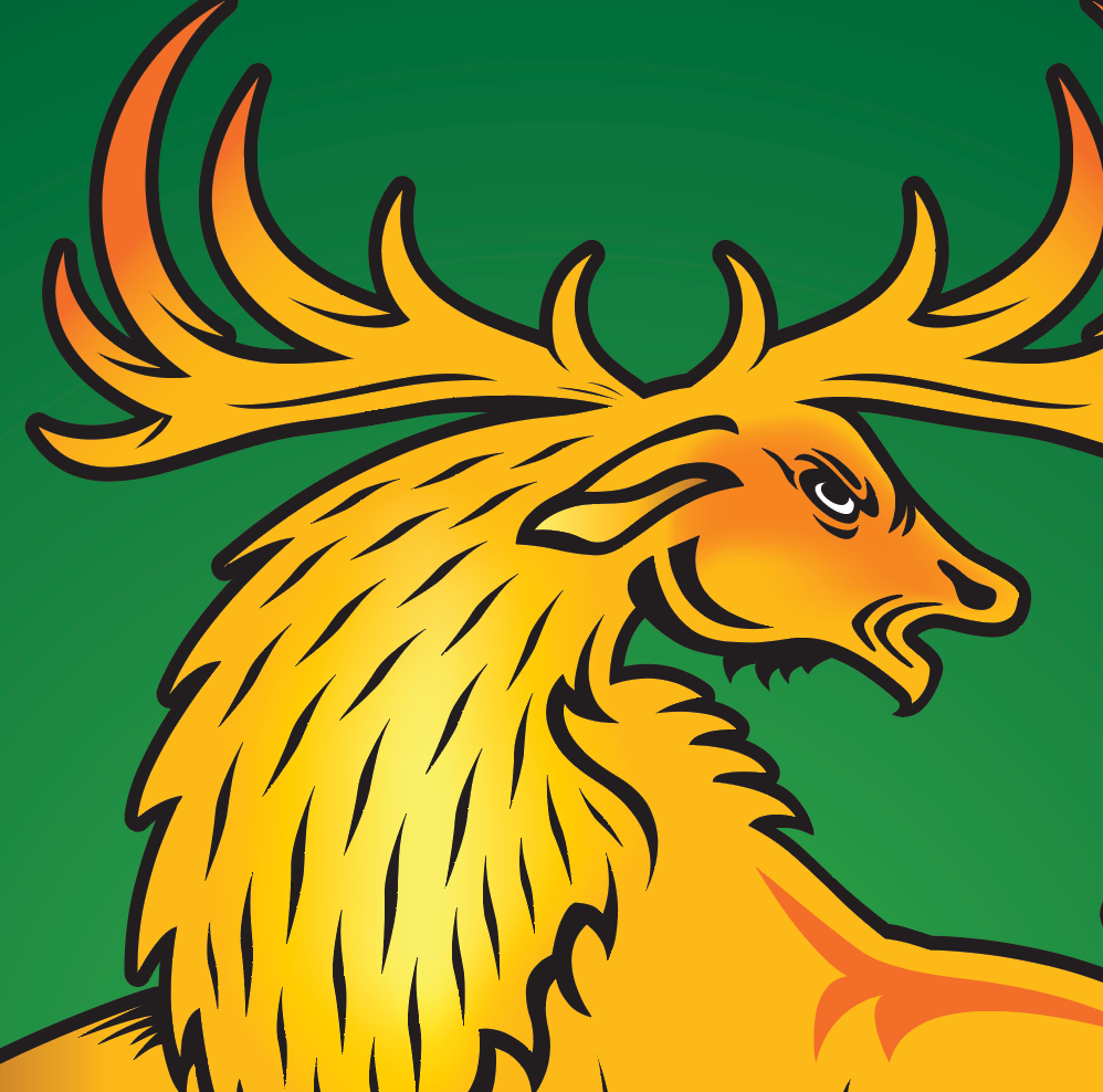 Ó Súilleabháin - Sullivan Family Crest Enhanced matte paper poster