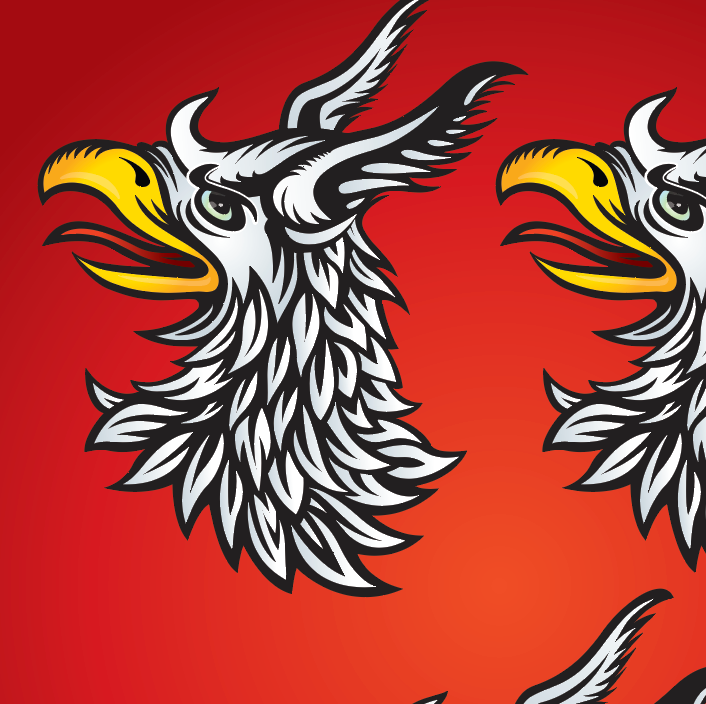 Ó Riain - Ryan Family Crest Enhanced matte paper poster