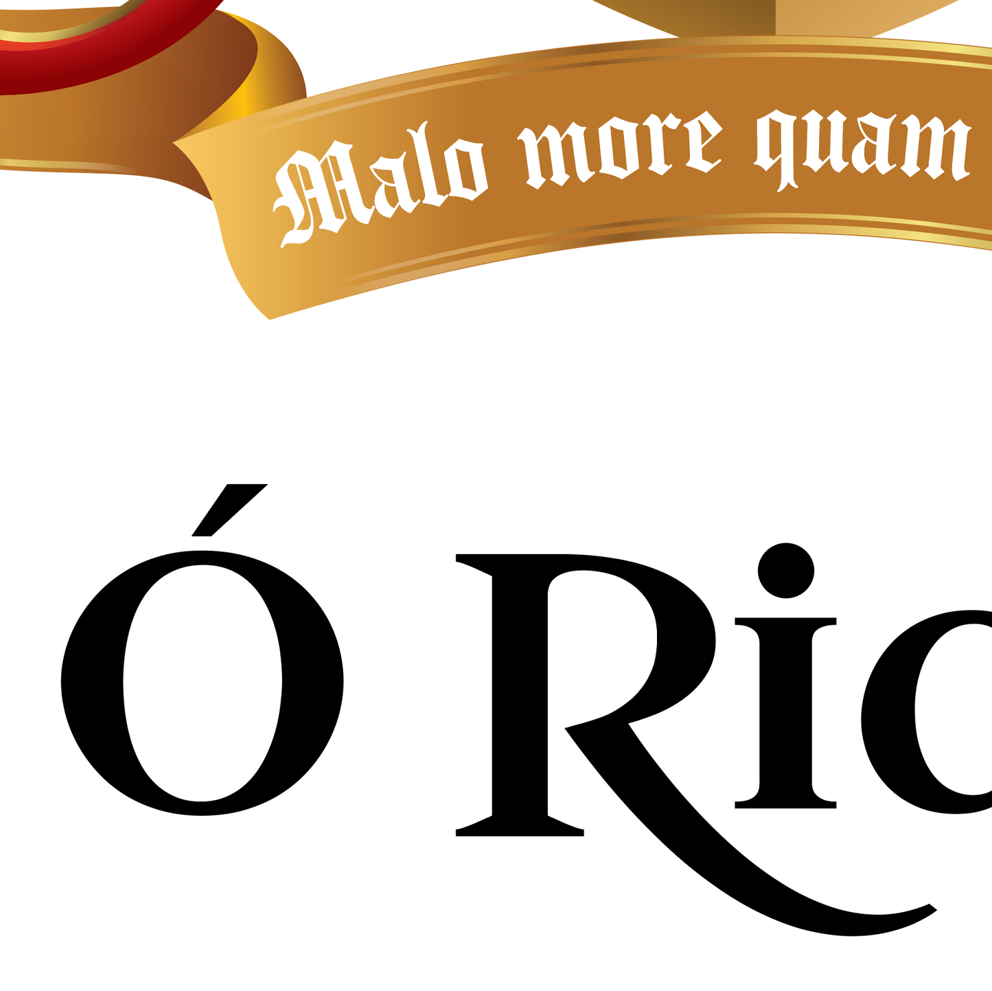 Ó Riain - Ryan Family Crest Enhanced matte paper poster