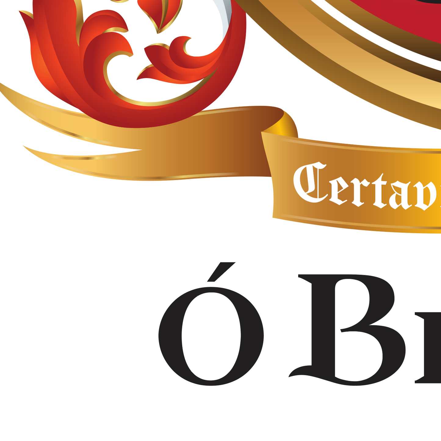 Ó Broin - Byrne Family Crest Enhanced matte paper poster