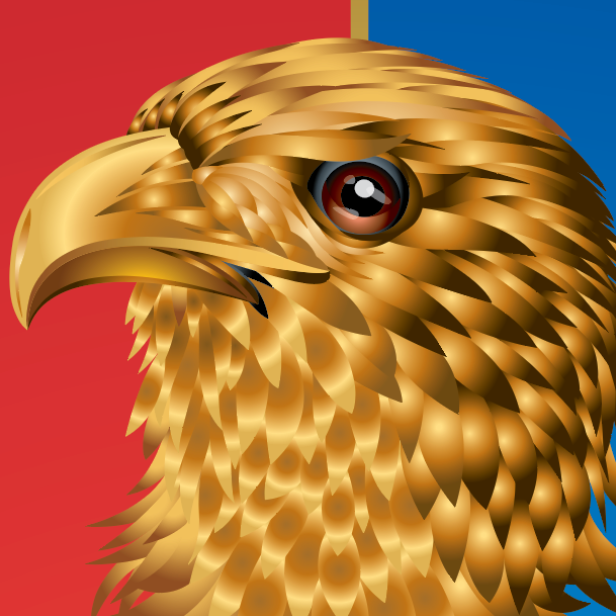 A closeup detail from the Stone family crest showing a golden eagle head and upper chest, shown against a split red and blue background.