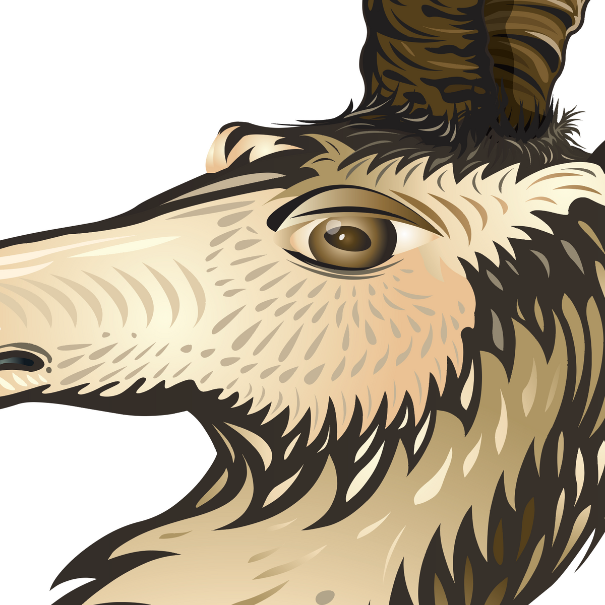 A closeup detail from the Weaver Family Crest of an antelope head in profile, with cream, tan, brown, and black fur details on a white background.