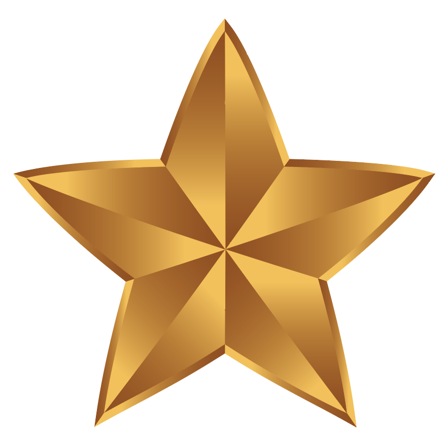 A closeup of the Welch Family Crest detailing a gold five-pointed star on a plain white background.