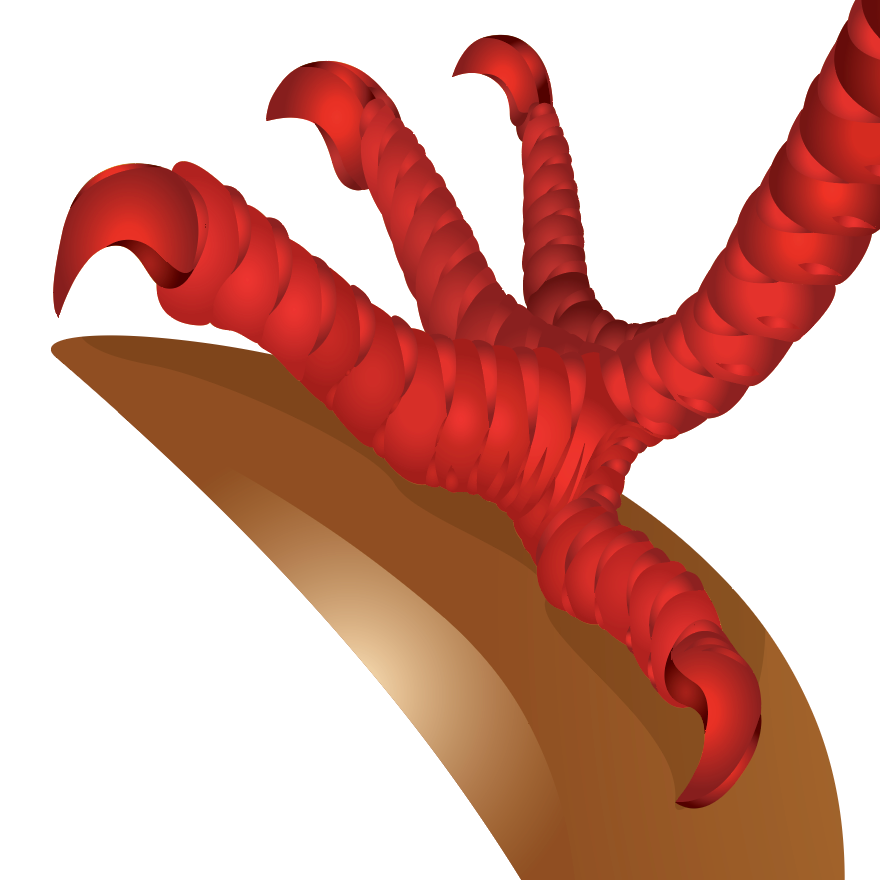 A close up of the Wheeler Family Crest featuring a red clawed foot or talon resting on a curved gold surface  of a crown against a white background.